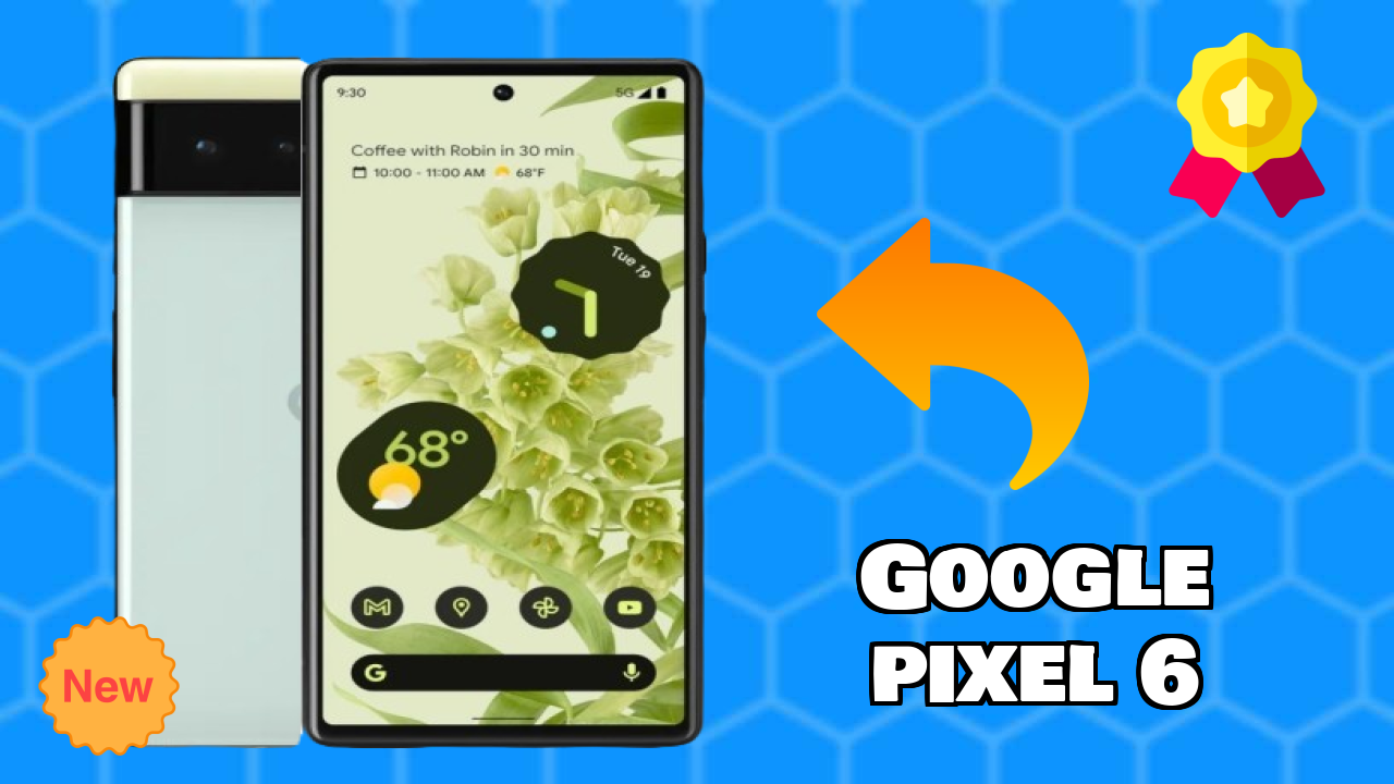 Google Pixel 6 Camera Review: 50 MP + 12 MP Rear Camera Photo Quality